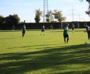 SGM RIngschnait - FCW101.jpg