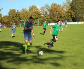 SGM RIngschnait - FCW13.jpg