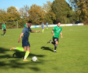 SGM RIngschnait - FCW14.jpg