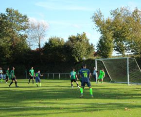 SGM RIngschnait - FCW43.jpg