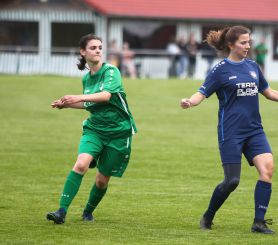 Alberweiler II - FCW16.jpg