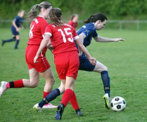 Baltringen - FCW13.jpg
