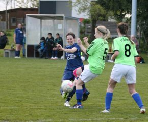Bellamont II - FCW 23-2421.jpg