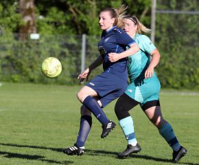 Bellamont III-FCW19.jpg