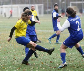 FCW - Bellamont II27.jpg