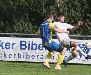 FCW - Birkenhard 23-242.jpg