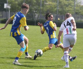 FCW - Ringschnait32.jpg