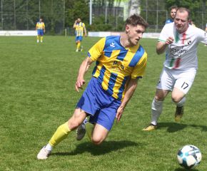 FCW - Ringschnait7.jpg