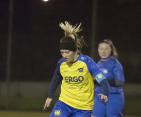 FCW II - Bellamont III26.jpg