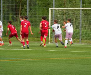 FCW- TSV TT17.jpg