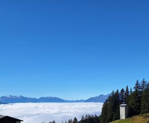 Jugendtrainer Laterns18.jpg