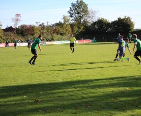 SGM RIngschnait - FCW104.jpg