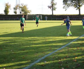SGM RIngschnait - FCW132.jpg