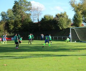 SGM RIngschnait - FCW71.jpg