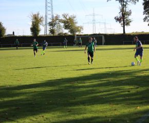 SGM RIngschnait - FCW95.jpg