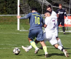 Schussenried II - FCW14.jpg