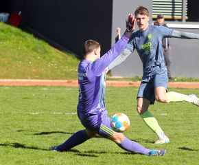 Tannheim-FCW35.jpg