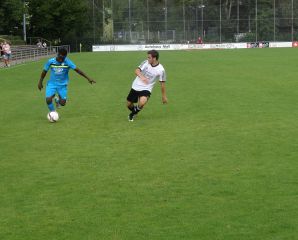 Warthausen_Birkenhard18.jpg