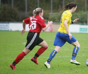 fCW - SGM Dettingen3.jpg