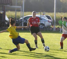 Baltringen - FCW13.jpg