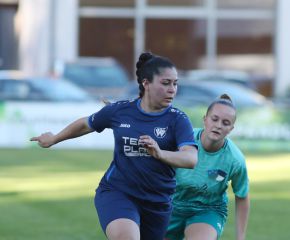 Bellamont III-FCW26.jpg