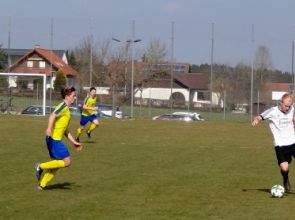 Birkenhard Rueckspiel2.jpg