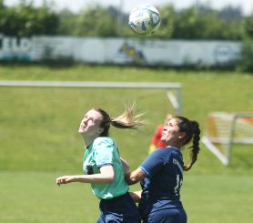 Dettingen-FCW44.jpg