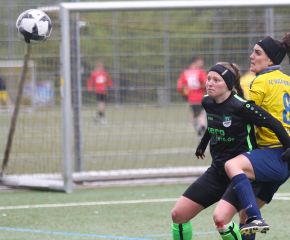FCW - Alberweiler18.jpg
