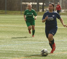 FCW - Alberweiler2.jpg