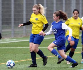 FCW - Bellamont II10.jpg