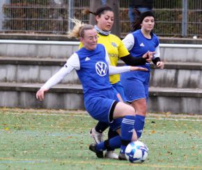 FCW - Bellamont II17.jpg
