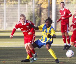 FCW - Motscha 23-2437.jpg