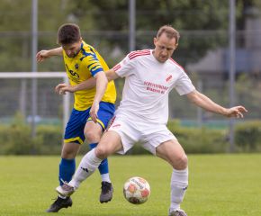 FCW - Neufra5.jpg