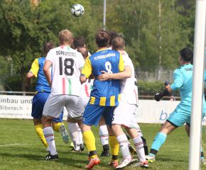 FCW - Ringschnait20.jpg