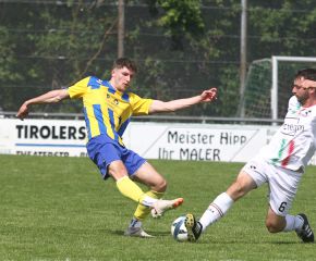 FCW - Ringschnait27.jpg