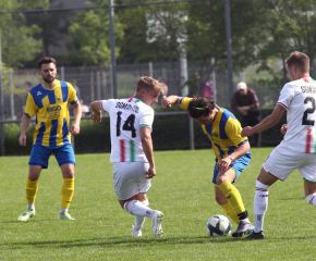 FCW - Ringschnait38.jpg