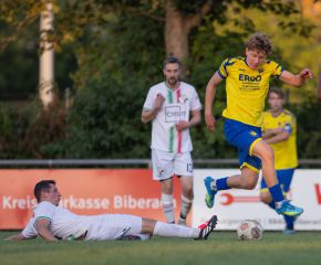 FCW - Ringschnait5.jpg