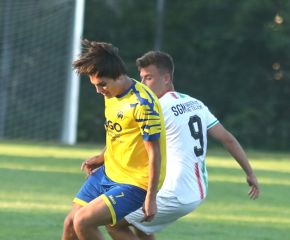 FCW - SGM Ringschnait15.jpg