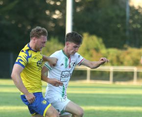 FCW - SGM Ringschnait20.jpg