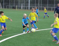 FCW - SSV 6.JPG