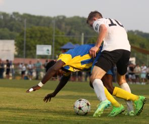 FCW - SV Steinhausen68.jpg