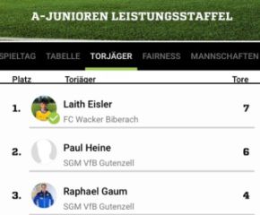 Meister6.jpg