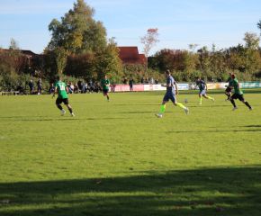 SGM RIngschnait - FCW110.jpg