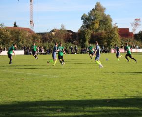 SGM RIngschnait - FCW111.jpg
