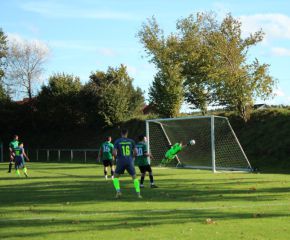 SGM RIngschnait - FCW44.jpg