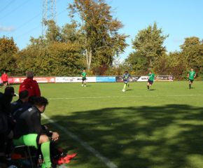 SGM RIngschnait - FCW49.jpg