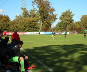 SGM RIngschnait - FCW50.jpg