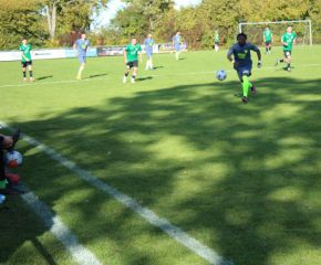 SGM RIngschnait - FCW61.jpg
