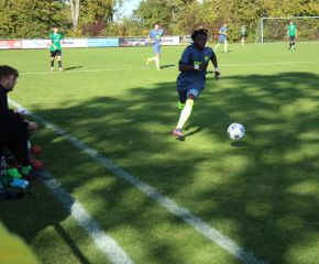 SGM RIngschnait - FCW66.jpg