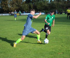 SGM RIngschnait - FCW84.jpg